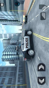警车模拟世界游戏截图1