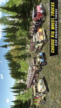 Off Road Truck Driver游戲截圖2