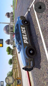 疯狂的警察司机游戏截图2
