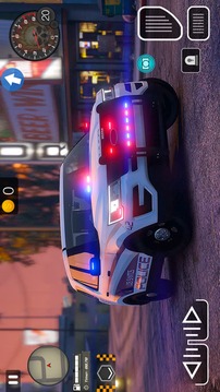 疯狂的警察司机游戏截图3