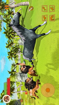 Wild Forest Horse Simulator游戲截圖1