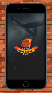Mini Basket Basketball 3D游戲截圖5
