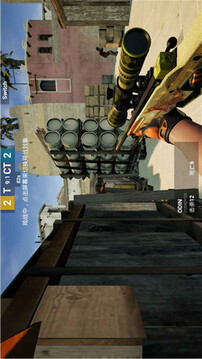 csgo游戲截圖2