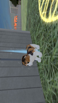 Virtual Animals Shelter Games游戲截圖2