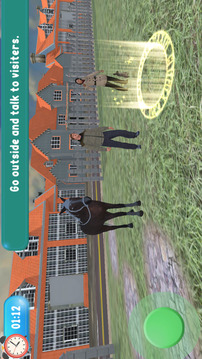 Virtual Animals Shelter Games游戲截圖3