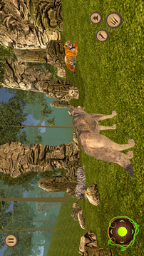Wild Wolf And Tiger Simulator游戲截圖2