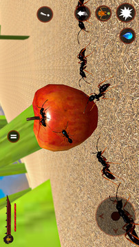 蚂蚁 昆虫 错误 生活游戏截图2