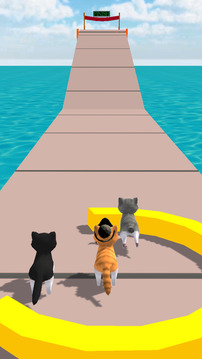 Cat Fun Race 3D Run Face Game游戲截圖5