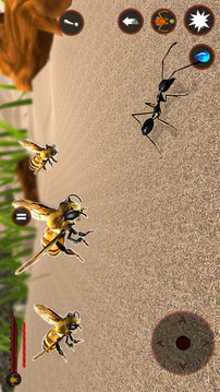 蚂蚁 昆虫 错误 生活游戏截图3