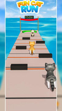 Cat Fun Race 3D Run Face Game游戲截圖2