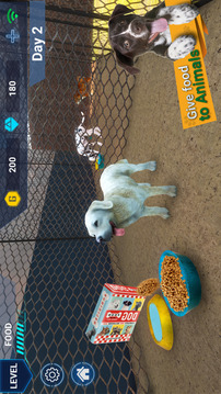 Virtual Pet Shelter Simulator游戲截圖1