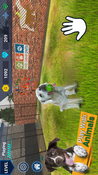 Virtual Pet Shelter Simulator游戲截圖2
