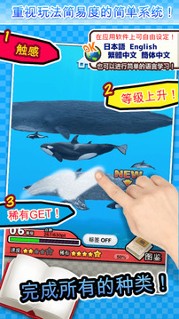 世界鯨與海豚圖鑒游戲截圖1