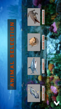 Underwater Animals Hunter游戲截圖1