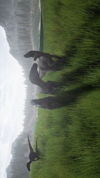 theisle恐龍島 2023游戲截圖3