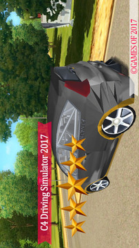 C4汽车驾驶模拟器2017游戏截图2
