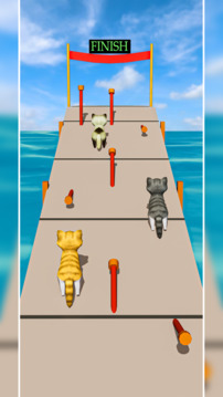 Cat Fun Race 3D Run Face Game游戲截圖1