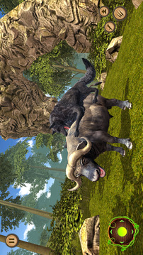 Wild Wolf And Tiger Simulator游戲截圖3