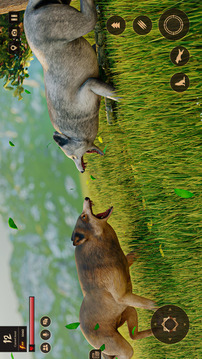 Wolf Simulator游戲截圖4
