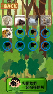 Animal King游戲截圖2