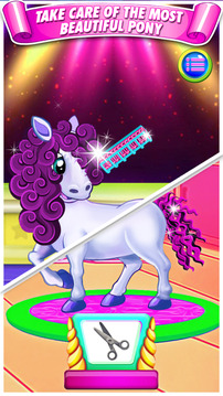 Family Pony Pet Salon Stylist游戲截圖3