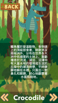 Animal King游戲截圖4