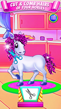 Family Pony Pet Salon Stylist游戲截圖2