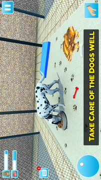 Animal Shelter Dog Rescue Game游戲截圖2
