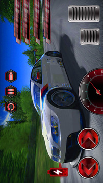 Racing Car Simulator游戲截圖3