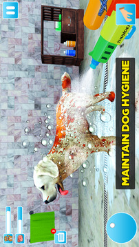 Animal Shelter Dog Rescue Game游戲截圖3