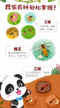 奇妙昆蟲世界游戲截圖5