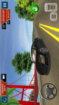 Real Car Driving School Sim 3D游戲截圖4