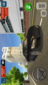 Real Car Driving School Sim 3D游戲截圖2