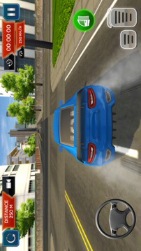 Real Car Driving School Sim 3D游戲截圖3