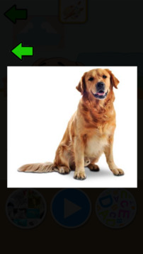 知道了動物游戲截圖2