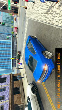 Car Racer City Driving School游戲截圖1