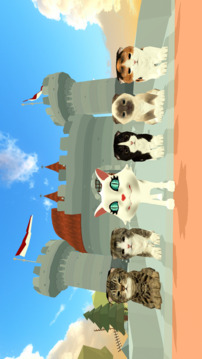 Cat Adventure Hide and Seek游戲截圖1