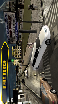 3D汽車模擬游戲截圖5