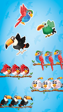 鸟类分类彩色益智游戏截图2