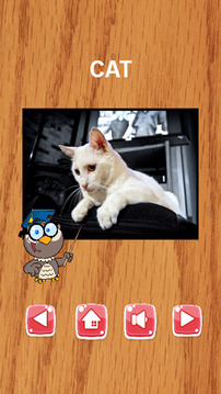 ENGLISH ANIMAL VOCABULARY AND MATCH GAME FOR游戲截圖2