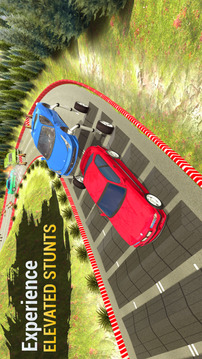 Elevated Car Crash Driver 2020游戲截圖3