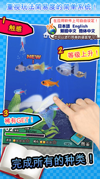 小小的魚圖鑒游戲截圖1