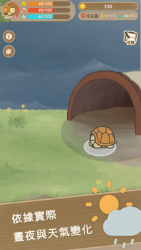口袋乌龟游戏截图2