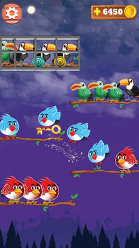 鸟类分类彩色益智游戏截图3
