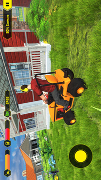 Lawn Mowing游戲截圖1