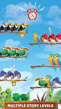 鸟类分类彩色益智游戏截图4