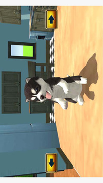 Dog Sim Puppy Craft游戲截圖4