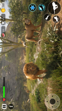 獅子動(dòng)物生存游戲截圖4