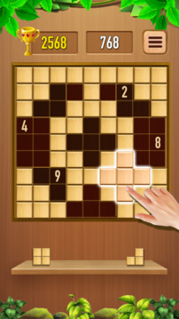 BlockSudoku  腦力積木拼圖游戲截圖3