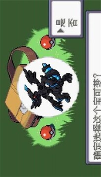 口袋妖怪神獸領(lǐng)域游戲截圖1